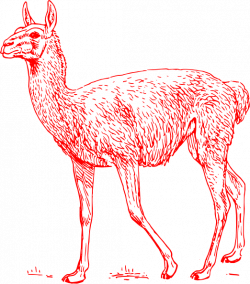 Red Llama Outline Clip Art at Clker.com - vector clip art online ...