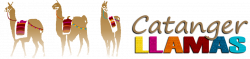 Parties and Corporate | Catanger Llamas