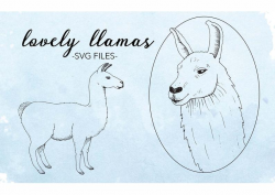 Llama SVG - Llama SVG File - Llama Clipart - Llama Clip Art - Llama Line  Art SVG - Realistic Llama Clip Art - Commercial Use svg Files