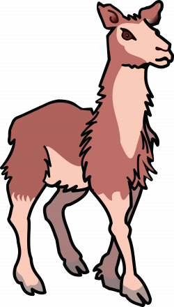 28+ Collection of Llama Clipart Transparent | High quality, free ...