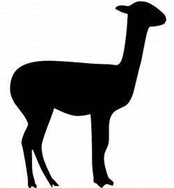 Llama Alpaca Vicuña Clip art - Silhouette 938*1019 transprent Png ...