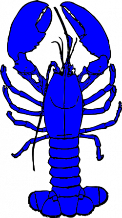 Blue Lobster Clip Art at Clker.com - vector clip art online ...