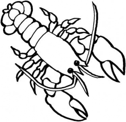 Lobster Coloring Page | Coloring Page | Art | Ocean coloring ...