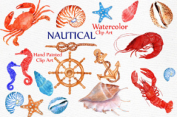 Nautical Watercolor Clipart BEACH ANIMALS CLIPART Watercolor crabs  Crustacean Clip Art Lobster clipart