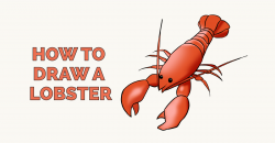 How to Draw a Lobster - Really Easy Drawing Tutorial