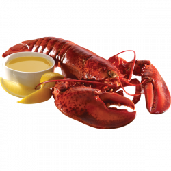 Lobster PNG images