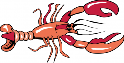 Lobster outline clipart 3 - WikiClipArt