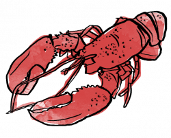 50 Shades of Lobster Red: What Color are Lobsters, Really ...