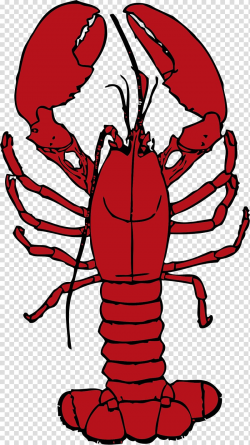 Red Lobster , lobster transparent background PNG clipart ...