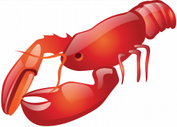 Lobster Clipart seafood - Free Clipart on Dumielauxepices.net