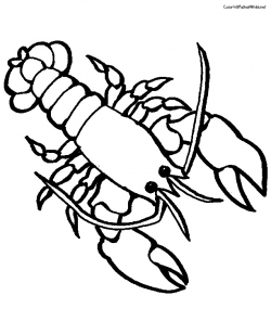 Free Lobster Pictures For Kids, Download Free Clip Art, Free ...