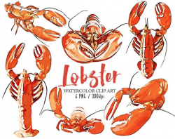 Watercolor Lobster Clip Art Seafood Clip Art Lobster Graphic Art Set Food  Clipart for Scrapbooking Card Making Cupcake Toppers Paper Craft