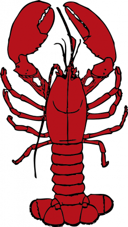 Lobster Clipart | i2Clipart - Royalty Free Public Domain Clipart