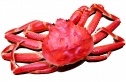 Snow crab Seafood Lobster Crayfish as food - Fresh crab 1200*788 ...