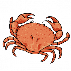 Crab And Lobster Offers – Crab