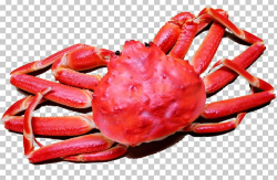 Snow Crab Seafood Lobster Crayfish As Food PNG, Clipart ...