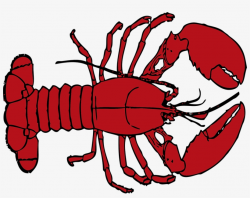 Image - Lobster Clipart Transparent Background PNG Image ...