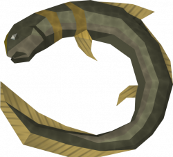 Raw short-finned eel | RuneScape Wiki | FANDOM powered by Wikia