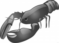 Lobster - ClipartBlack.com