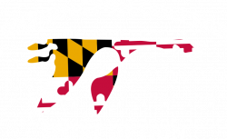 Washington College Athletics - Product: UA Locker T Shortsleeve