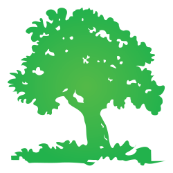 tree logo - Google Search | Tree logo | Pinterest | Tree logos, Logo ...