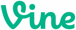 Vine Logo transparent PNG - StickPNG
