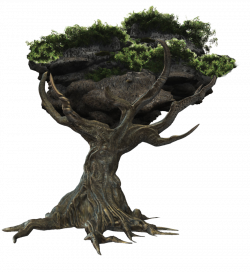 Fantasy Tree png by mysticmorning.deviantart.com on @deviantART ...