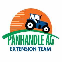 Friday Feature: Portable Chainsaw Sawmill » Panhandle Agriculture