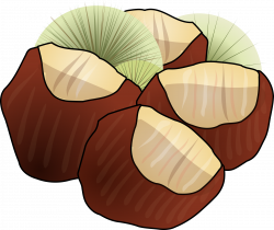 Clipart - Chestnuts
