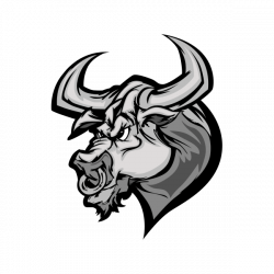 Texas Longhorn English Longhorn Bull Clip art - angry Bull 600*600 ...