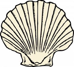 Beach Shell Cliparts#178524