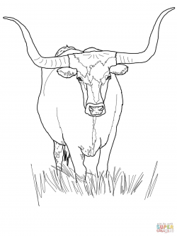 Pin by jill martinez on For dad &popo | Cow coloring pages ...