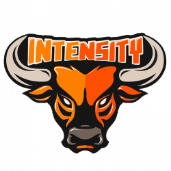 Intensity Logo by LimitlessConcepts on DeviantArt