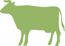 Бесплатные фото на Pixabay - Корова, Крупный Рогатый Скот ...