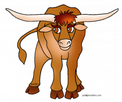 28+ Collection of Longhorn Cattle Clipart | High quality, free ...