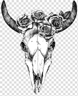 Texas Longhorn Drawing Human skull symbolism Bull, skull ...