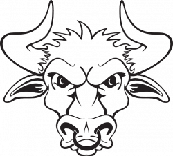 Drawn Bulls outline - Free Clipart on Dumielauxepices.net