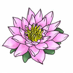 Easy Cartoon Drawing Images Of Lotus - Cliparts.co