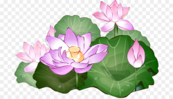 Lotus Leaf clipart - Flower, Plant, Lotus, transparent clip art