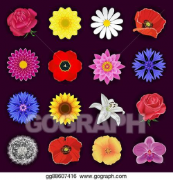 Vector Art - Big set of spring or summer flowers isolated ...