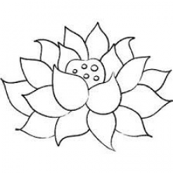 lotus clipart - Google Search | 3rd Grade | Flower coloring ...