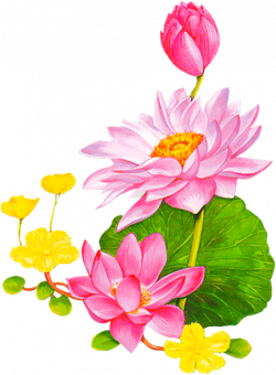 fleurs,flores,flowers,bloemen,png | Kwiaty transparent | Pinterest ...