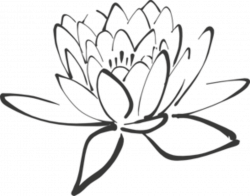 White Lotus Flower Drawing at GetDrawings.com | Free for personal ...