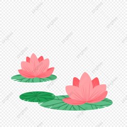 Hand Drawn Cute Lotus, Spring, Plants, Nature PNG ...