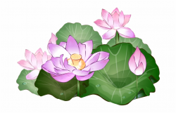 Pin Vase Clipart Lotus Flower - Sacred Lotus Flower Clipart ...