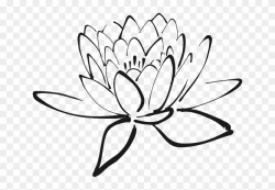 Lotus-flower - Lotus Flower Clipart Black And White, HD Png ...