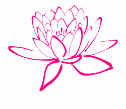 Flower Pink Blossom Pegals Lotus - Purple Lotus Clip Art ...
