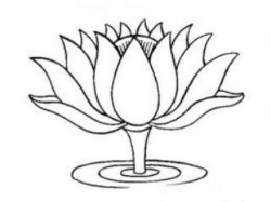 tibetan lotus drawing 1 | Art | Flower coloring pages, Lotus ...