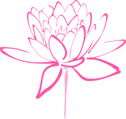 Pink Mixed Lotus Clip Art at Clker.com - vector clip art online ...