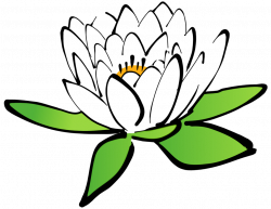 Public Domain Clip Art Image | Lotus flower | ID: 13944804016056 ...